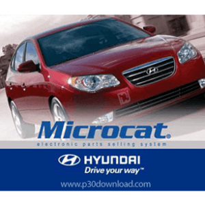 Microcat Hyundai